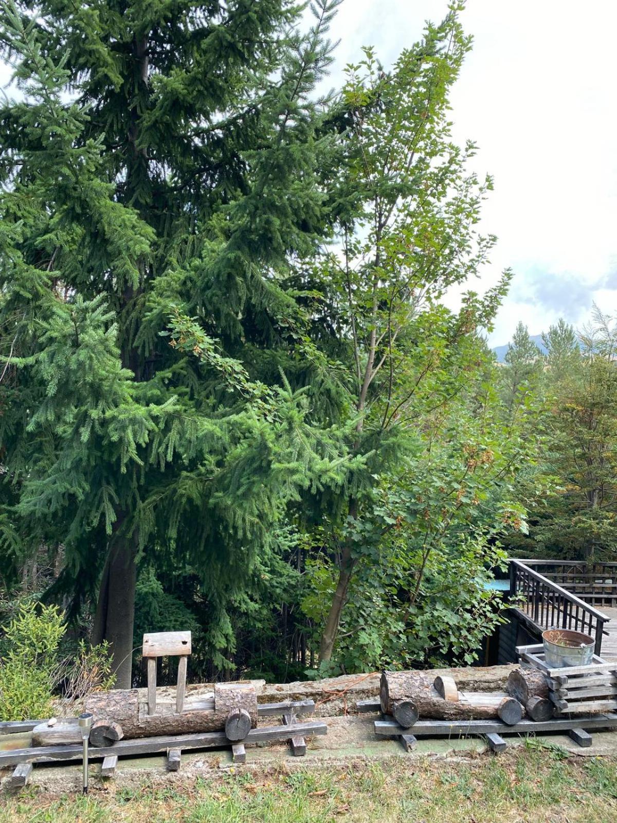 The Patagonian Lodge Coyhaique Εξωτερικό φωτογραφία