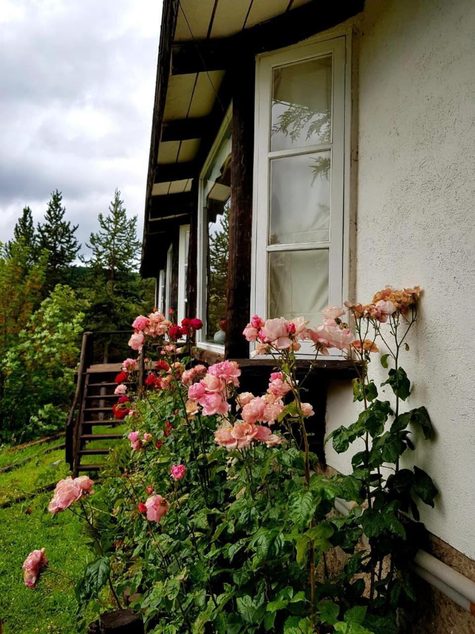 The Patagonian Lodge Coyhaique Εξωτερικό φωτογραφία